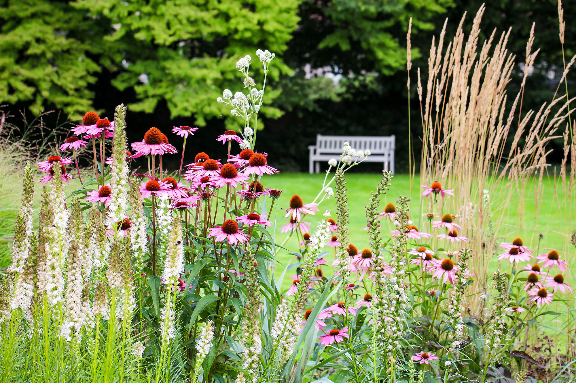 Gartengestaltung - Dillmann
